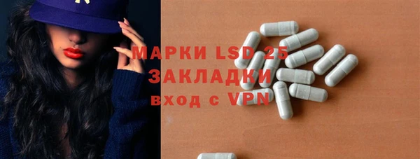 индика Осинники