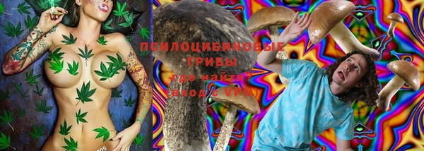 стафф Белоозёрский