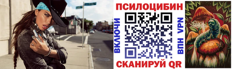 Псилоцибиновые грибы ЛСД  Волосово 