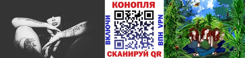Бошки марихуана AK-47  купить  сайты  МЕГА онион  Волосово 